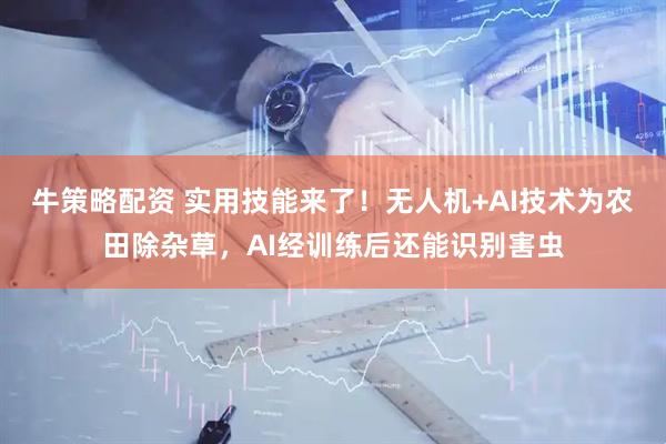 牛策略配资 实用技能来了！无人机+AI技术为农田除杂草，AI经训练后还能识别害虫