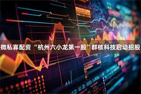 微私寡配资 “杭州六小龙第一股”群核科技启动招股