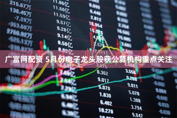 广富网配资 5月份电子龙头股获公募机构重点关注